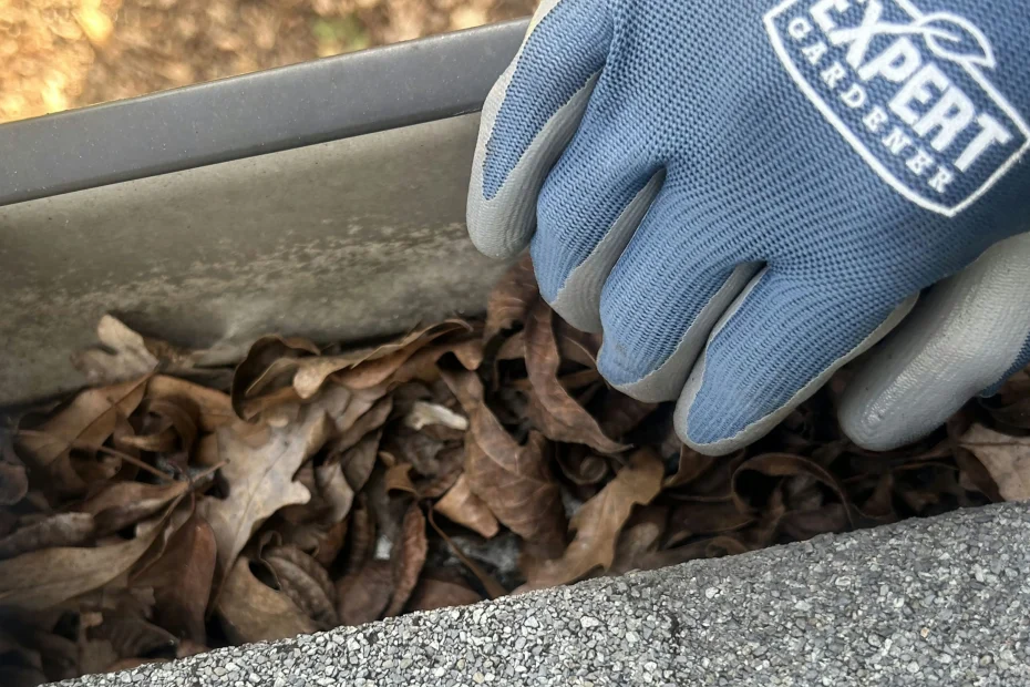 Gutter Cleaning Briarcliffe Acres