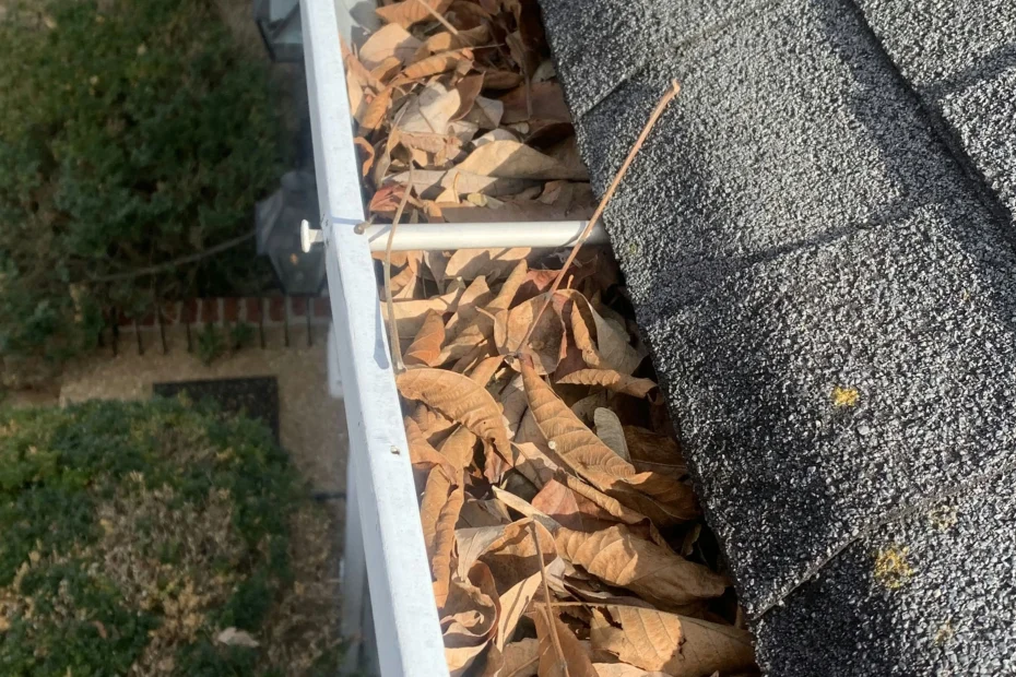 Gutter Cleaning Briarcliffe Acres